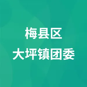 梅县区大坪镇团委