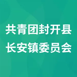 共青团封开县长安镇委员会