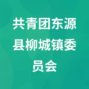 共青团东源县柳城镇委员会