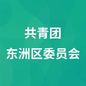 共青团东洲区委员会