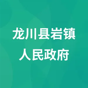 龙川县岩镇人民政府