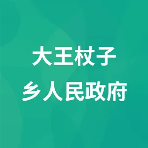 大王杖子乡人民政府