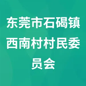 东莞市石碣镇西南村村民委员会