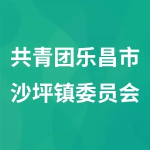共青团乐昌市沙坪镇委员会