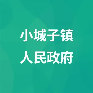 小城子镇人民政府
