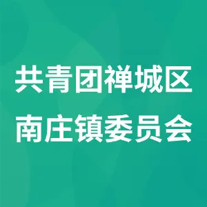 共青团禅城区南庄镇委员会