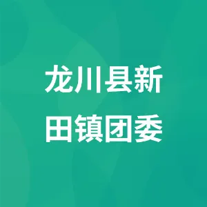 新田镇团委