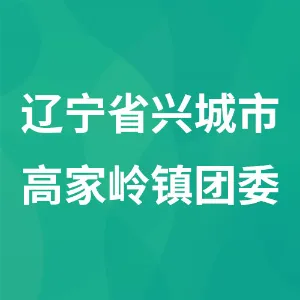 辽宁省兴城市高家岭镇团委