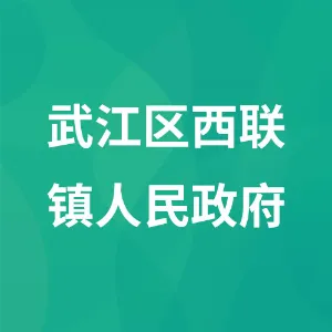 武江区西联镇人民政府