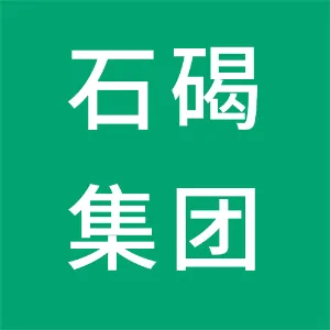 东莞市石碣发展集团有限公司
