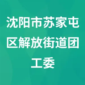 沈阳市苏家屯区解放街道团工委