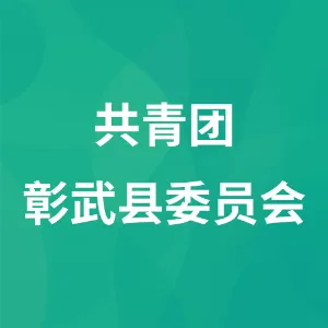 共青团彰武县委员会