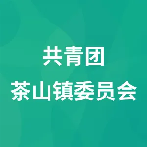 共青团茶山镇委员会