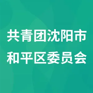 共青团沈阳市和平区委员会