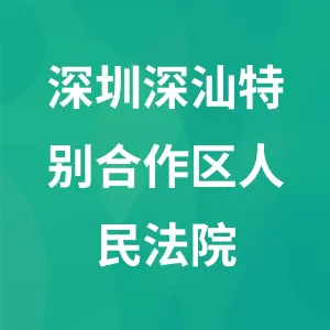 深圳深汕特别合作区人民法院