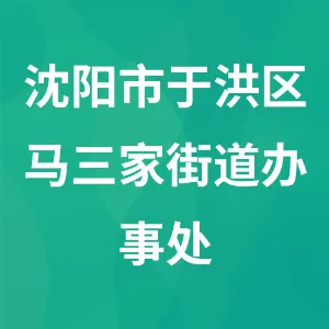 沈阳市于洪区马三家街道办事处