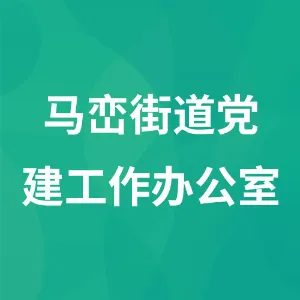 马峦街道党建工作办公室