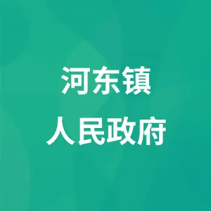 河东镇人民政府