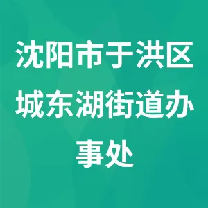 沈阳市于洪区城东湖街道办事处