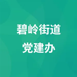 碧岭街道党建办