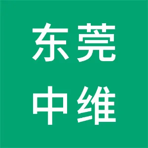 东莞中维世纪信息科技有限公司
