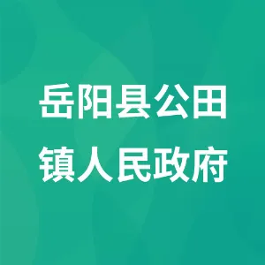 岳阳县公田镇人民政府