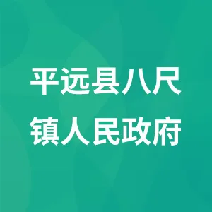 平远县八尺镇人民政府