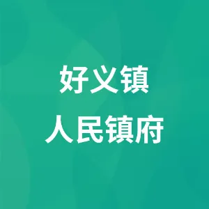 好义镇人民镇府