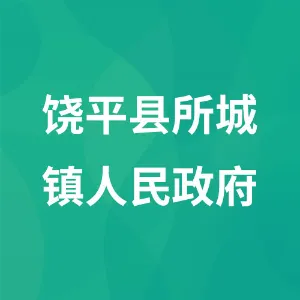 饶平县所城镇人民政府
