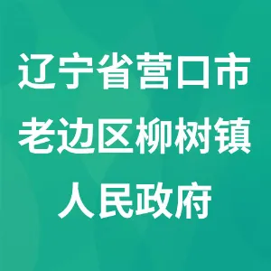 辽宁省营口市老边区柳树镇人民政府