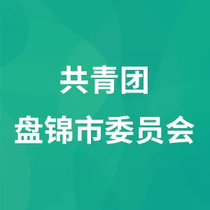 共青团盘锦市委员会
