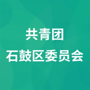 共青团石鼓区委员会