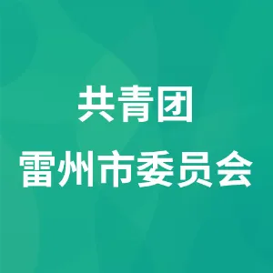 共青团雷州市委员会