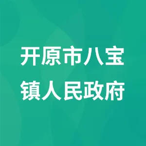 开原市八宝镇人民政府