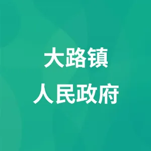 大路镇人民政府