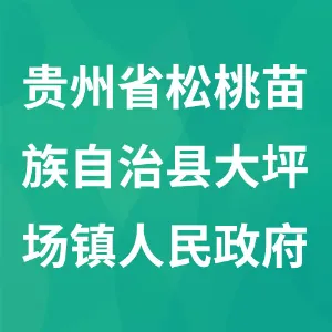 贵州省松桃苗族自治县大坪场镇人民政府