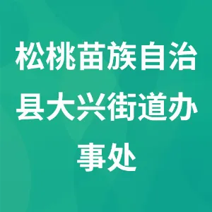 松桃苗族自治县大兴街道办事处