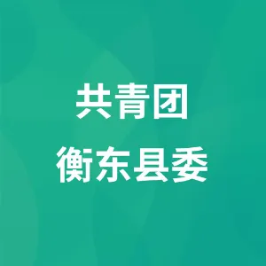 共青团衡东县委