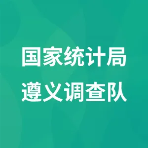 国家统计局遵义调查队