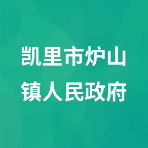 凯里市炉山镇人民政府
