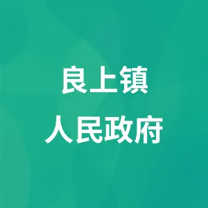 良上镇人民政府