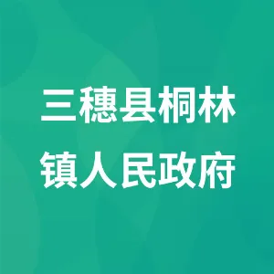 三穗县桐林镇人民政府