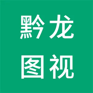 贵州黔龙图视科技有限公司