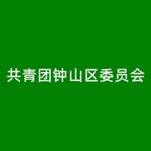 共青团钟山区委员会