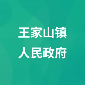 王家山镇人民政府