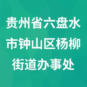 贵州省六盘水市钟山区杨柳街道办事处