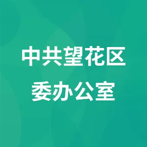 中共望花区委办公室