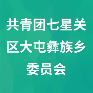 共青团七星关区大屯彝族乡委员会