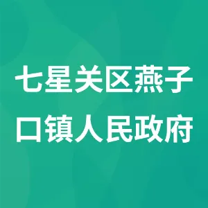 七星关区燕子口镇人民政府