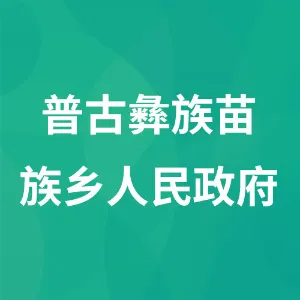 普古彝族苗族乡人民政府